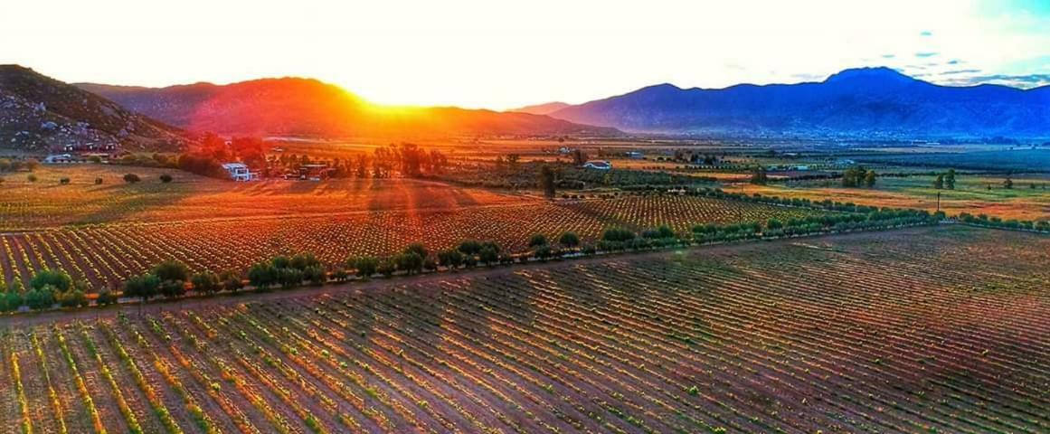 Villa Corsua Valle de Guadalupe Buitenkant foto