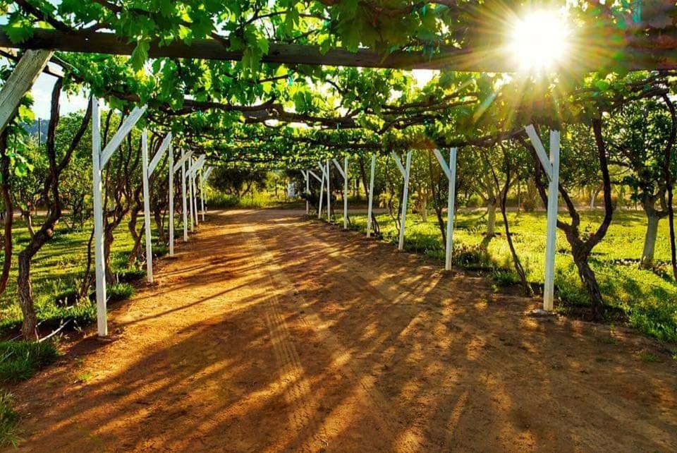 Villa Corsua Valle de Guadalupe Buitenkant foto
